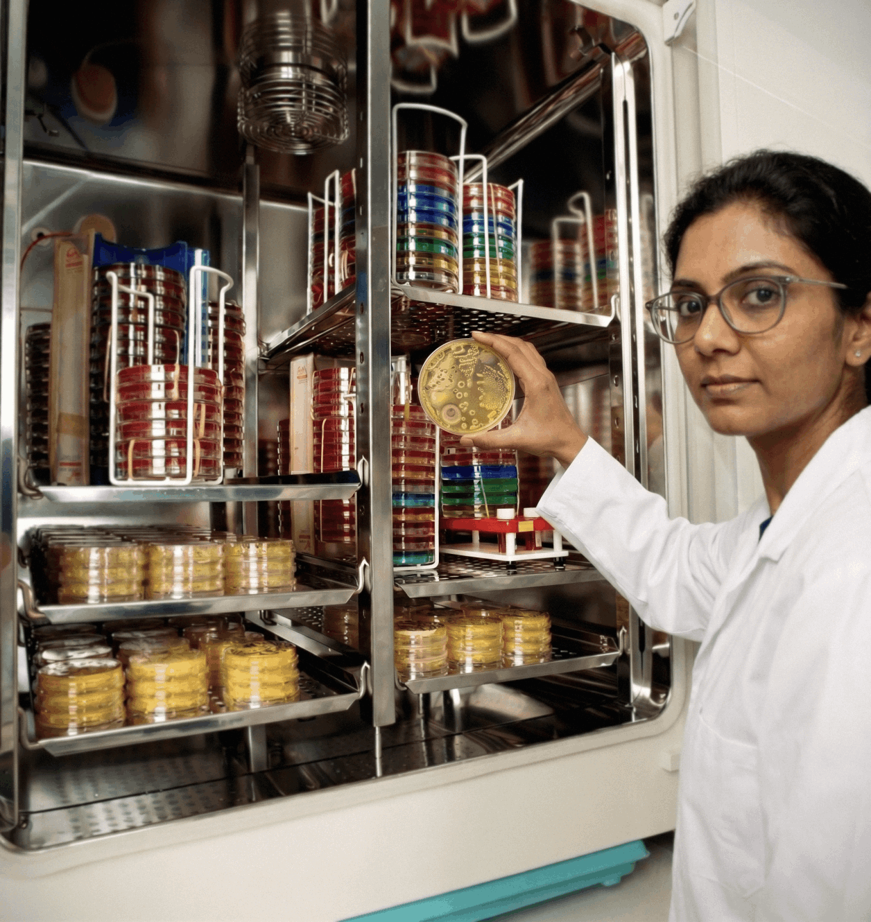Microbial Culture Collection at Evolon Biotech