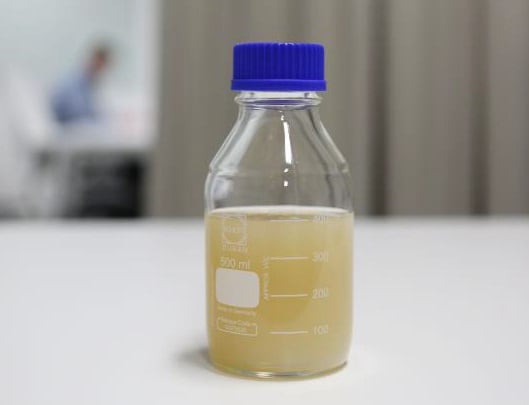 Evobac STP - Colour of Liquid Bioculture for STP 
