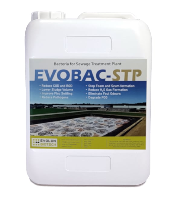Aerobic Bacteria for Sewage Treatment Plant (Liquid) 