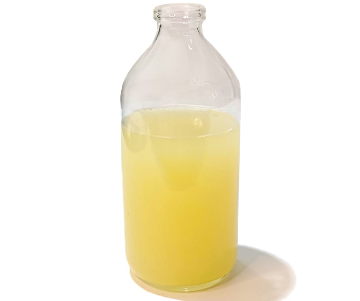Bacteria for Bulk Orders