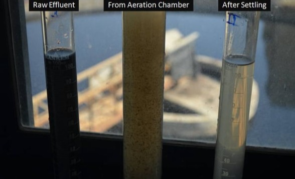 Bioculture for Odou Removal